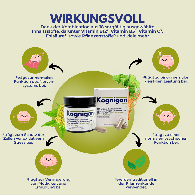 Kognigan Focus Supplements - Gehirn Kapseln - Brain Booster für Konzentration-, Gedächtnis- & mentale Unterstützung