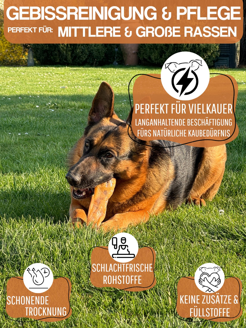 WEPO Rinderkopfhaut für Hunde 1kg - Kausnack Hund - getrocknete Rinderkopfhaut 20cm - Hunde Snack - Natürliche Zahnreinigung, naturbelassen & gesund!