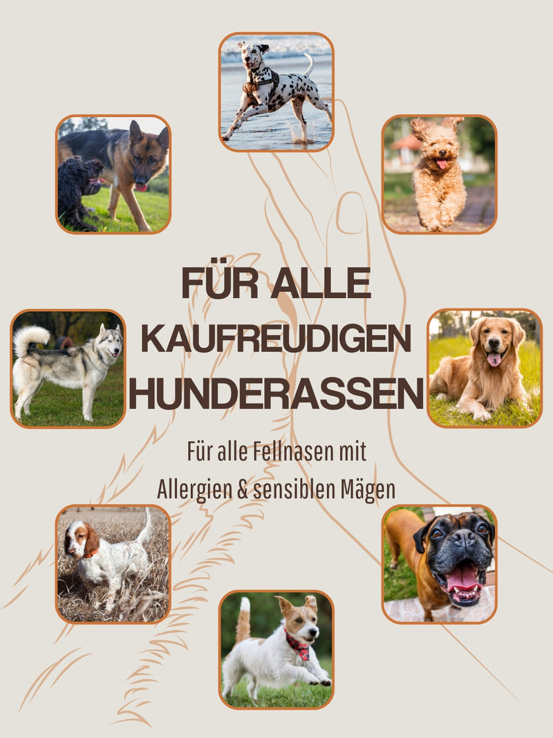 WEPO Rinderkopfhaut für Hunde 1kg - Kausnack Hund - getrocknete Rinderkopfhaut 20cm - Hunde Snack - Natürliche Zahnreinigung, naturbelassen & gesund!